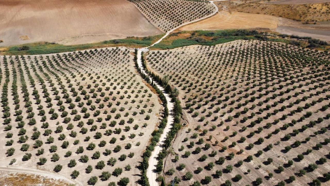 Cortijo Donana Villa La Puebla de Cazalla Eksteriør billede