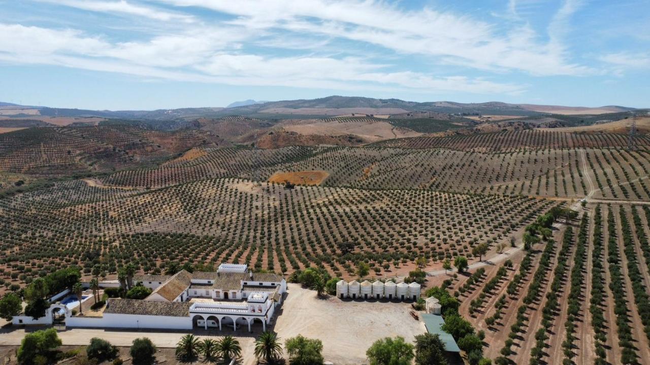 Cortijo Donana Villa La Puebla de Cazalla Eksteriør billede