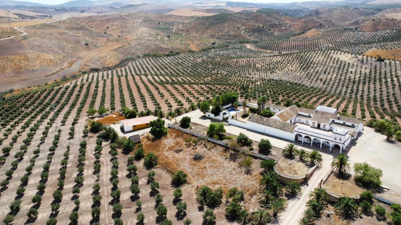 Cortijo Donana Villa La Puebla de Cazalla Eksteriør billede