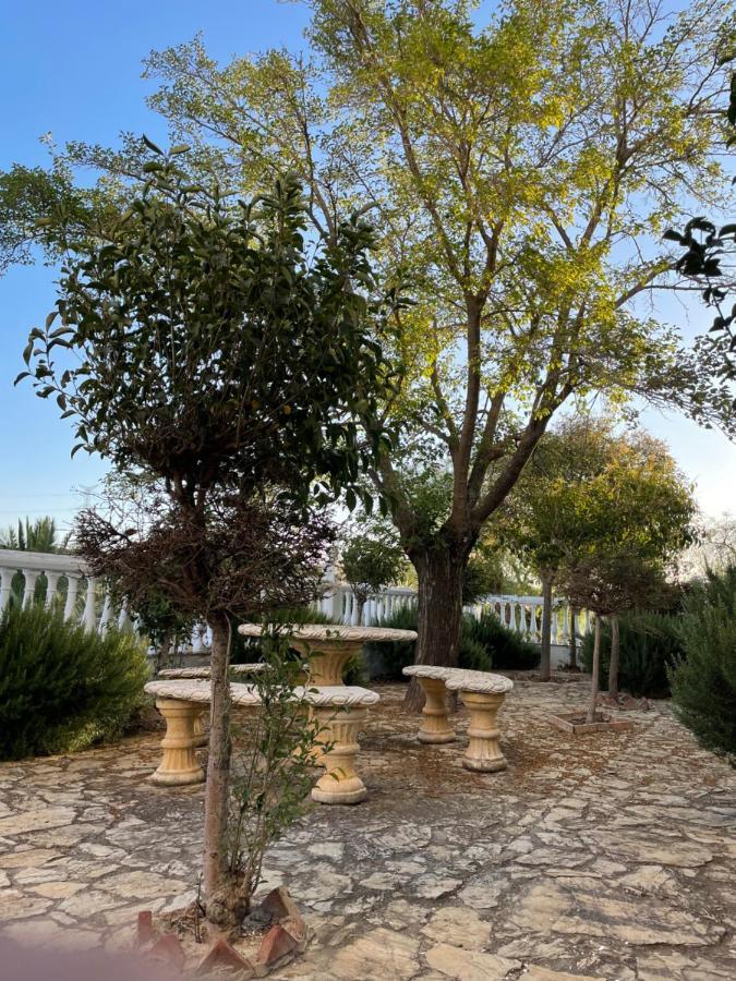 Cortijo Donana Villa La Puebla de Cazalla Eksteriør billede